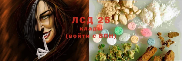 винт Инта