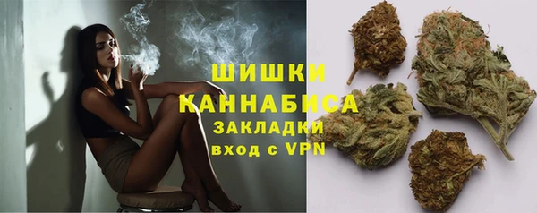 винт Инта