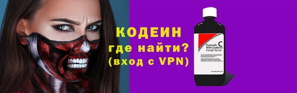 винт Инта