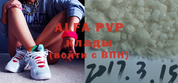 винт Инта