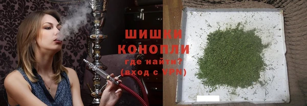 винт Инта